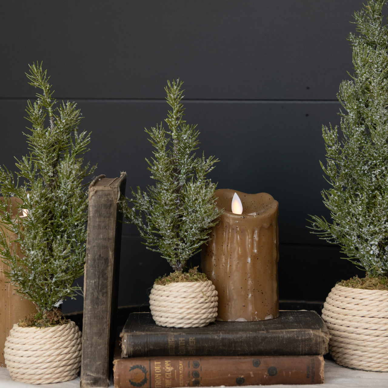 Verbier Tree in Pot, Feathered Farmhouse