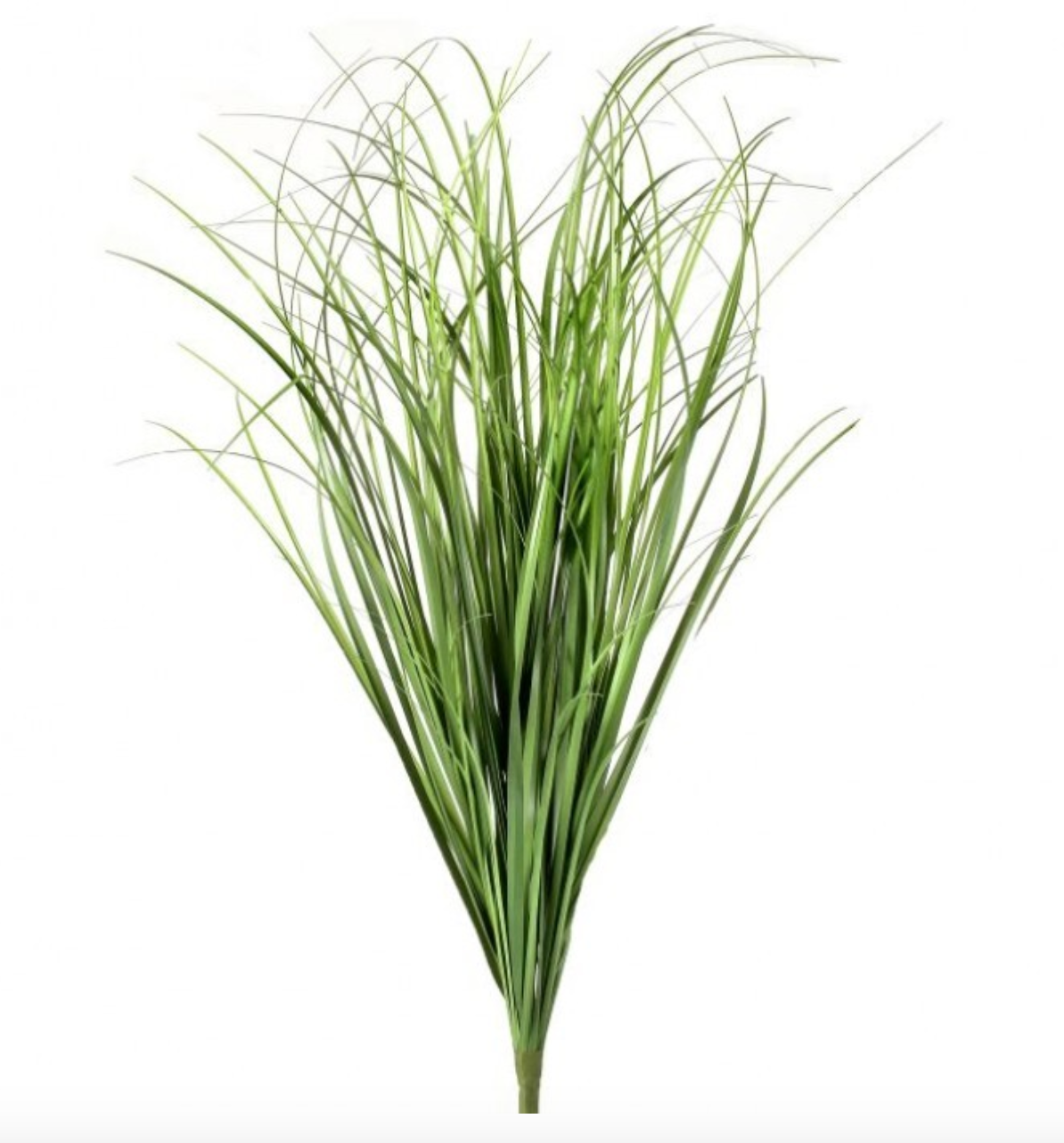 Herb Grass Bush – The Feathered Farmhouse