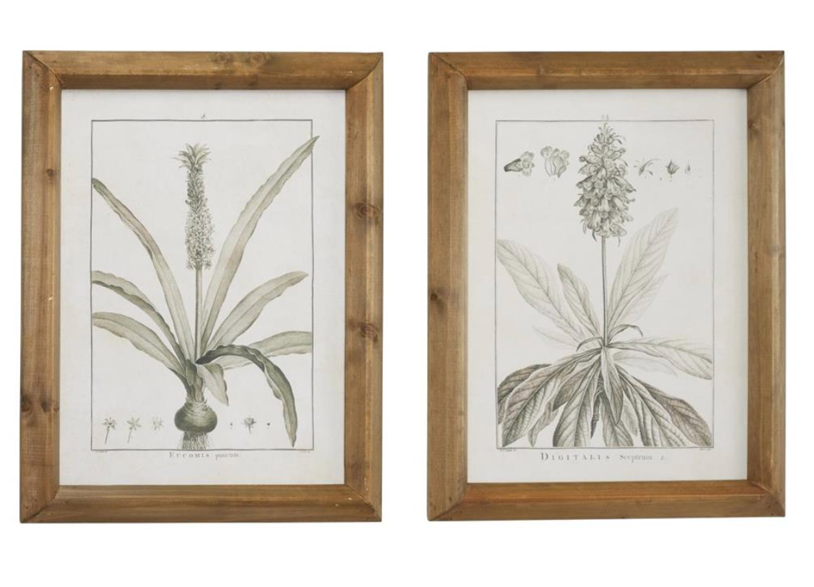 Leaf Framed Wall Art, The Feathered Farmhouse