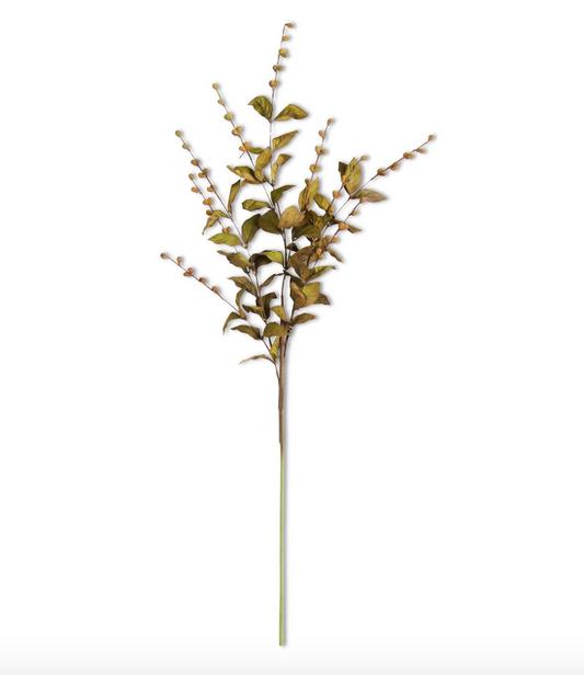 European Beech Stem, The Feathered Farmhouse