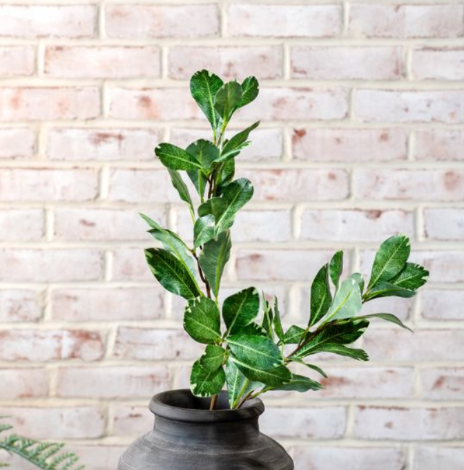 Real Touch Pittosporum Stem, Feathered Farmhouse