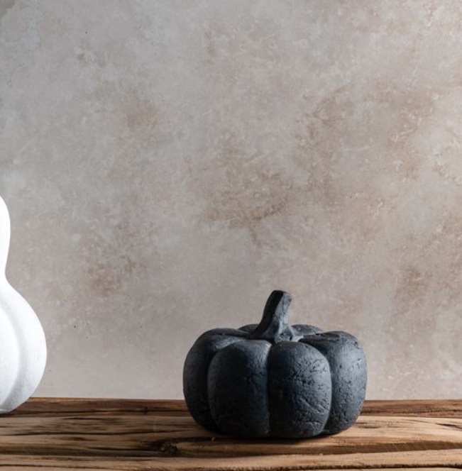 Black Terracotta Pumpkin, Feathered Farmhouse