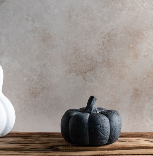 Black Terracotta Pumpkin, Feathered Farmhouse