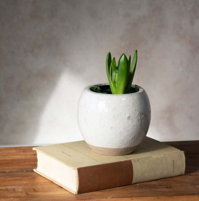 French White Ball Planter, Feathered Farmhouse