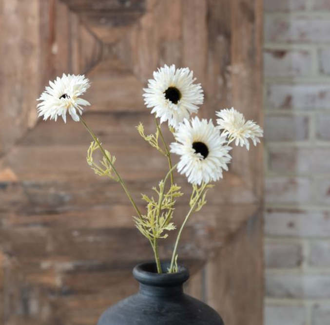 White Daisy Stem, Feathered Farmhouse