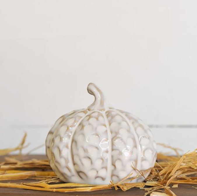 White Dimple Pumpkin, Feathered Farmhouse
