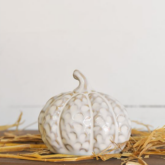 White Dimple Pumpkin, Feathered Farmhouse