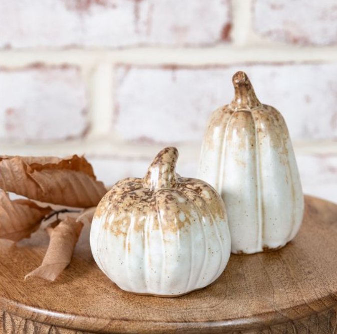 Brown Tone Pumpkin & Gourd, Feathered Farmhouse