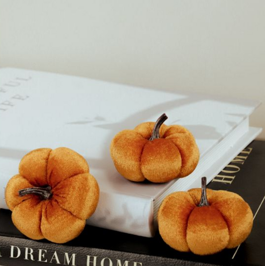 Orange Mini Velvet Pumpkin, Feathered Farmhouse
