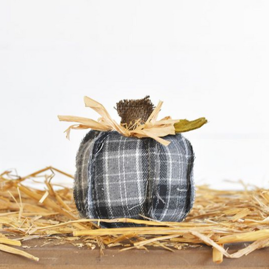 Grey Flannel Pumpkin, Feathered Farmhouse