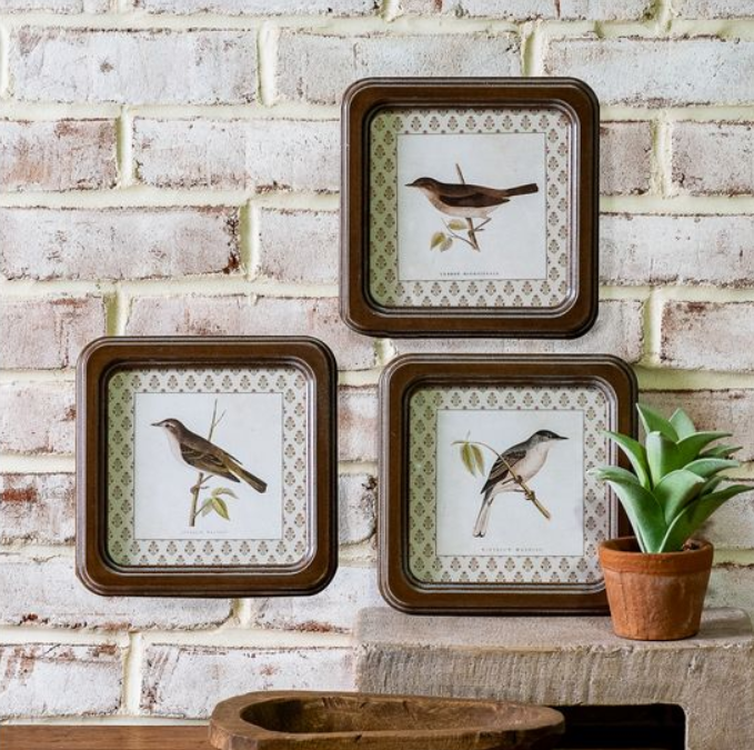 Framed Bird Prints, Feathered Farmhouse