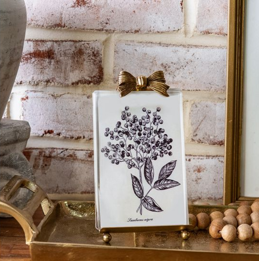Bow Iron Photo Frame, Feathered Farmhouse