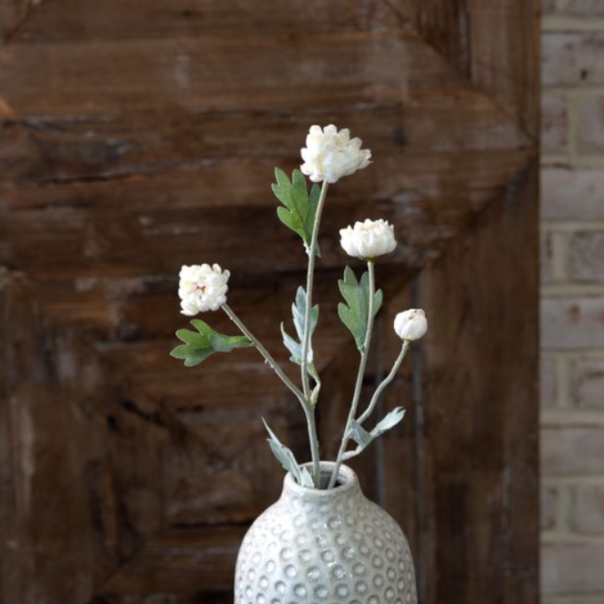 White Kalanchoe Stem, Feathered Farmhouse