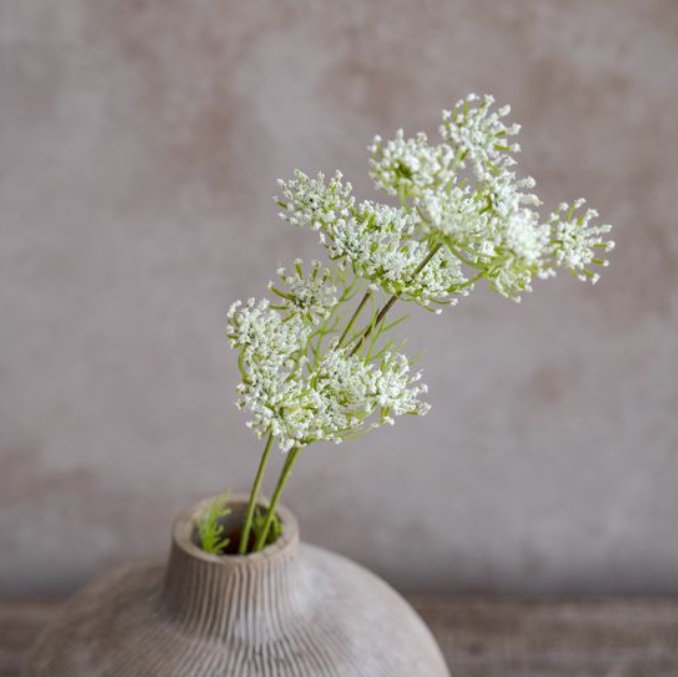 Queen Anne's Lace Stem, Feathered Farmhouse