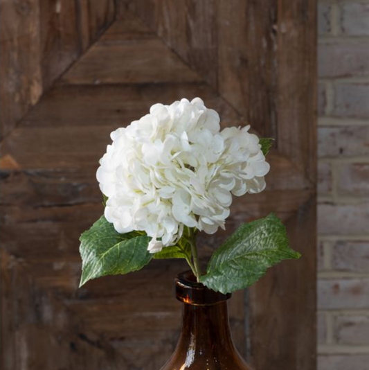 White Hydrangea Stem, Feathered Farmhouse