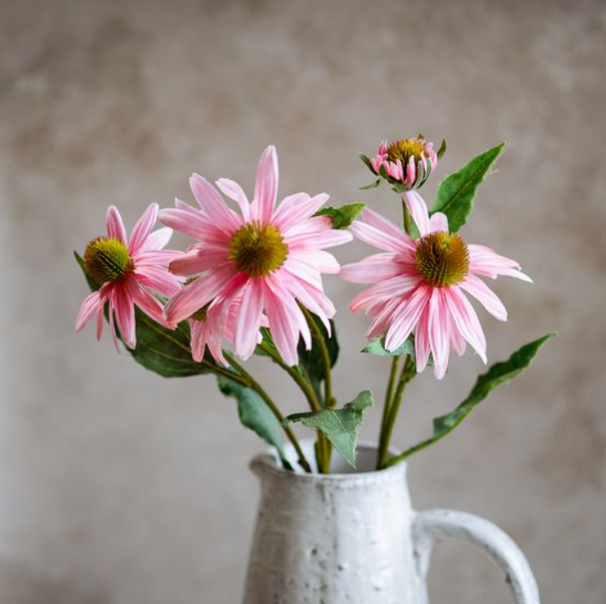 Pink Echinacea Bunch, Feathered Farmhouse