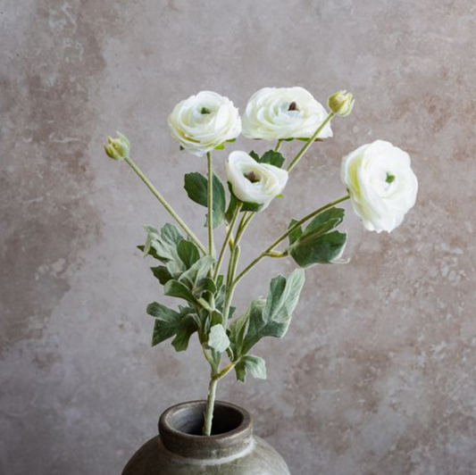 White Ranunculus Stem, Feathered Farmhouse