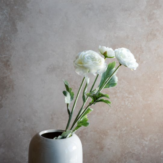 Snow Lotus Flower, Feathered Farmhouse