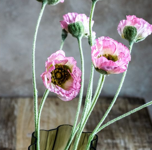 Pink Poppy Flower Stem, Feathered Farmhouse