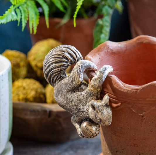 Squirrel Pot Hanger, Feathered Farmhouse