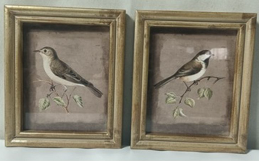 Bird Framed Wall Art, Feathered Farmhouse