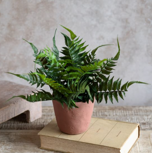 Cement Potted Fern, Feathered Farmhouse
