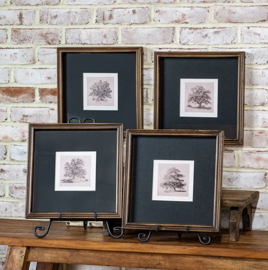 Foliage Framed Wall Art, Feathered Farmhouse