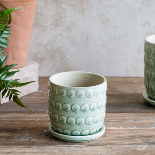 Light Green Dot Planter, Feathered Farmhouse