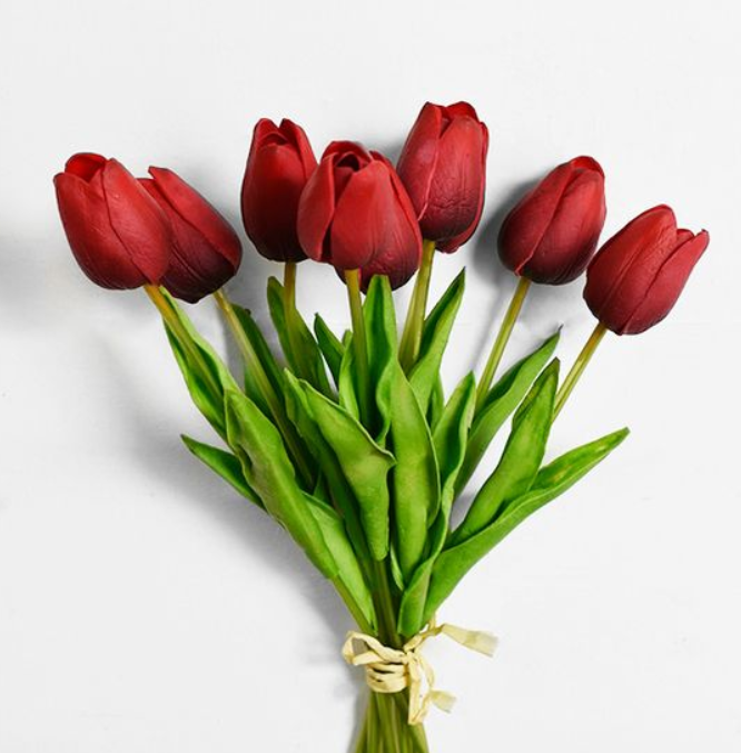 Red Tulip Bunch, Feathered Farmhouse