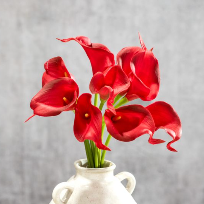 Red Calla Lily Stems, Feathered Farmhouse
