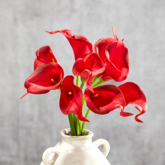 Red Calla Lily Stems, Feathered Farmhouse