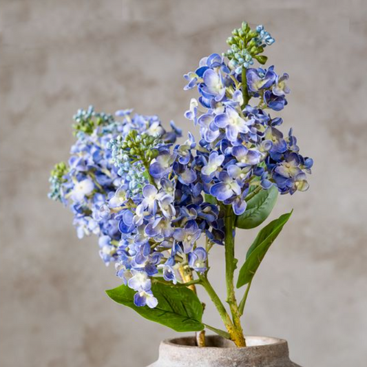 Purple Cone Hydrangea Stem, Feathered Farmhouse