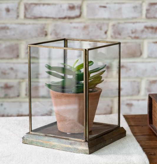 Aged Antique Glass Displayer, Feathered Farmhouse