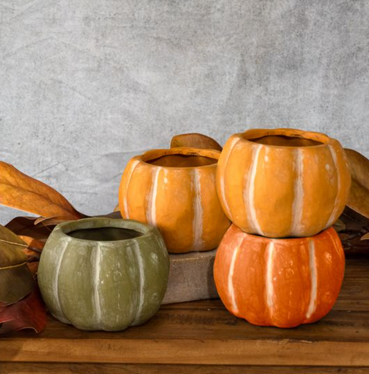 Open Top Pumpkin, Feathered Farmhouse