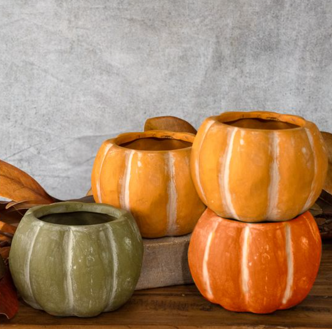 Open Top Pumpkin, Feathered Farmhouse