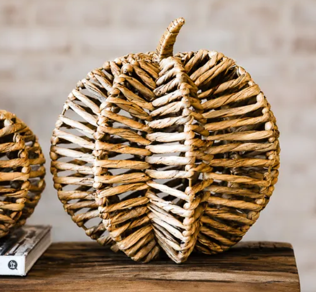 Water Hyacinth Pumpkin, Feathered Farmhouse