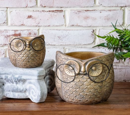 Gold Owl with Glasses Planter, Feathered Farmhouse