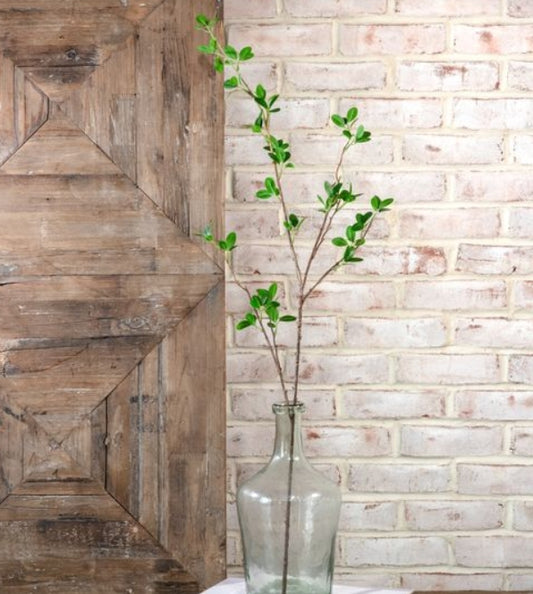 Green Leaf Stem, Feathered Farmhouse