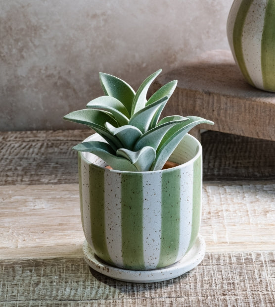 Matte Green Stripe Ceramic Planter, Feathered Farmhouse