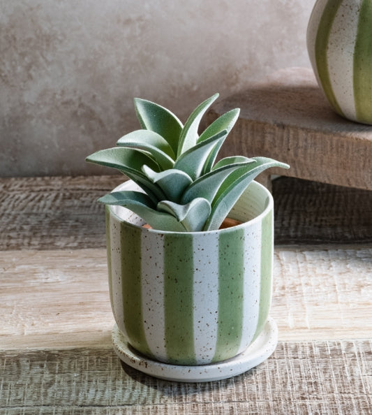 Matte Green Stripe Ceramic Planter, Feathered Farmhouse