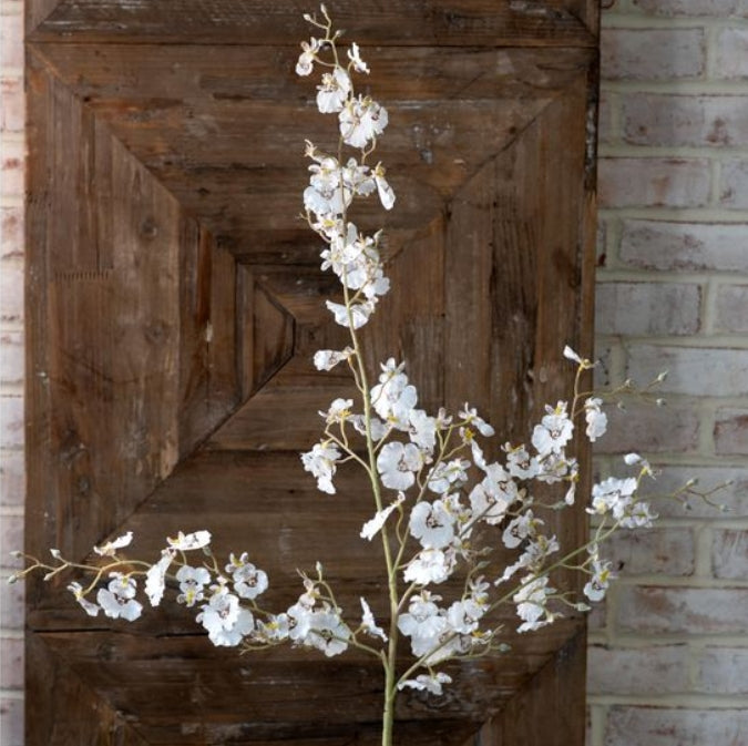 White Dancing Lady Orchid Stem, The Feathered Farmhouse