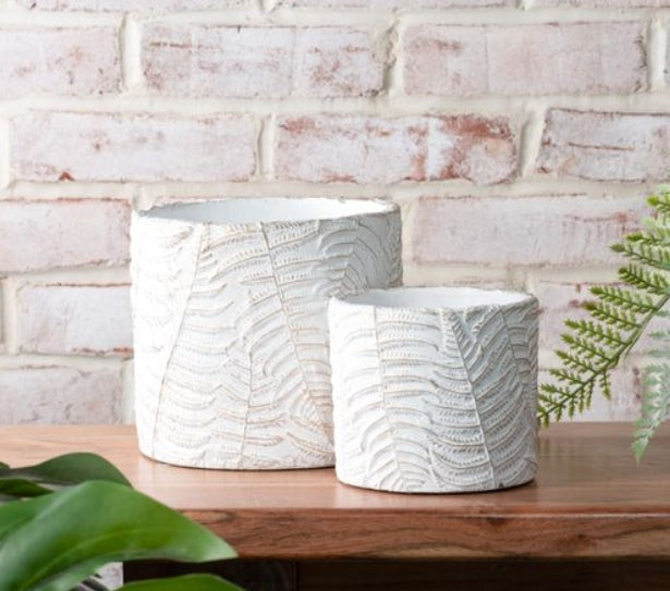 Cement Fern Pots, Feathered Farmhouse