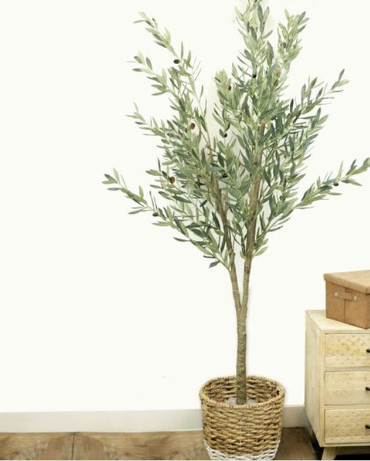 Olive Tree, Feathered Farmhouse