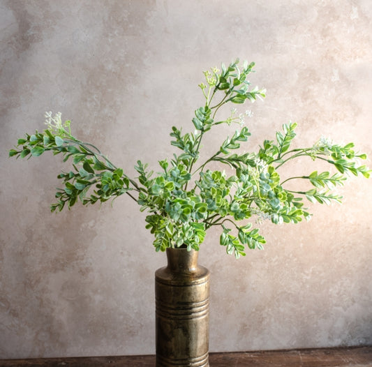 Eucalyptus Bush, Feathered Farmhouse