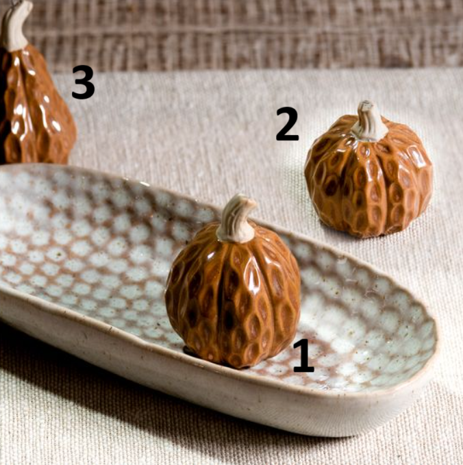 Brown Pumpkin + Gourd, Feathered Farmhouse