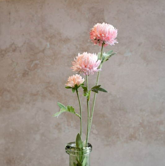 Pink Chrysanthemum Stem, Feathered Farmhouse