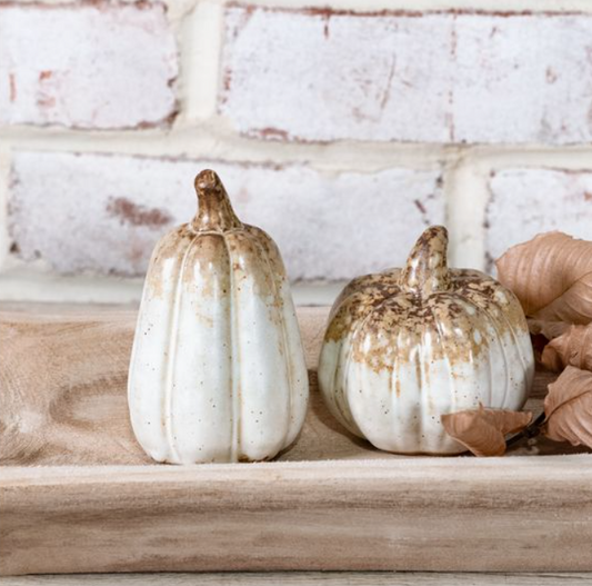 Brown Tone Pumpkin & Gourd, Feathered Farmhouse