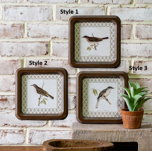 Framed Bird Prints, Feathered Farmhouse