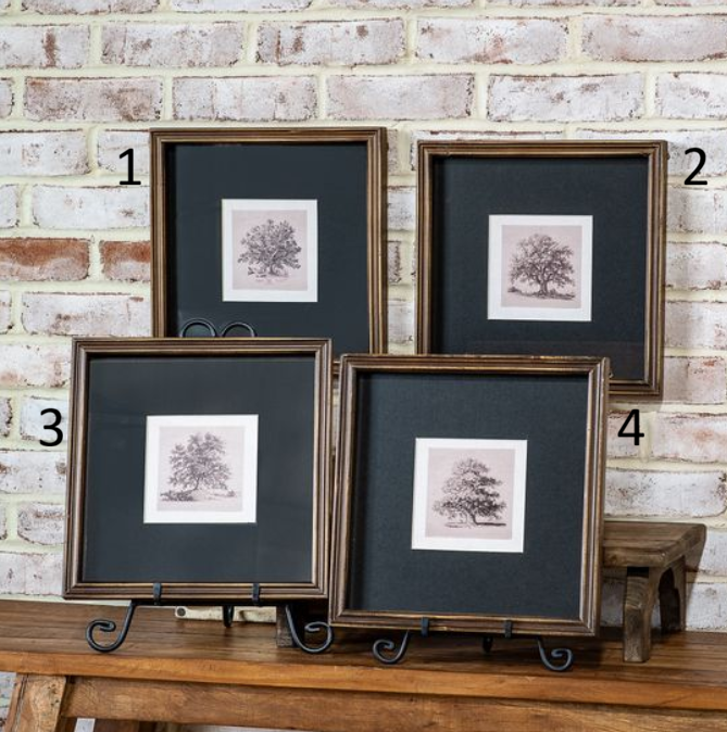 Foliage Framed Wall Art, Feathered Farmhouse