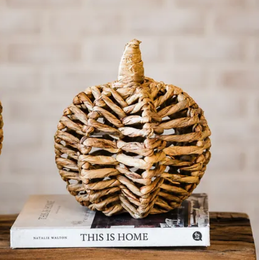 Water Hyacinth Pumpkin, Feathered Farmhouse